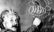 la-crisis-segun-albert-einstein