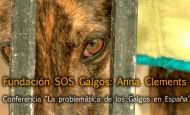 conferencia-magistral-la-problematica-de-los-galgos-en-espana