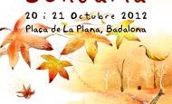 fira-de-la-tardor-solidaria-de-badalona