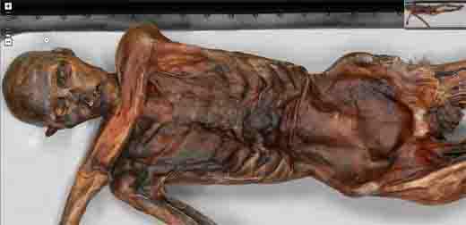 Tatuajes encontrados en la momia del hombre de los hielos