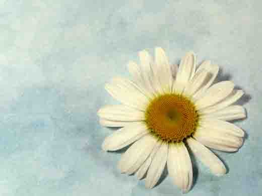 «Carta de despedida» de Gabriel García Márquez