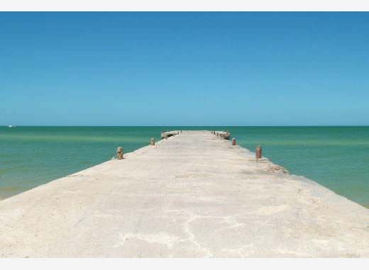 Documental: Una realidad paralela