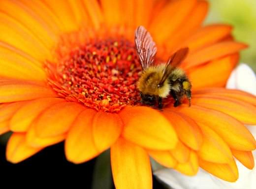 13 razones para vivir