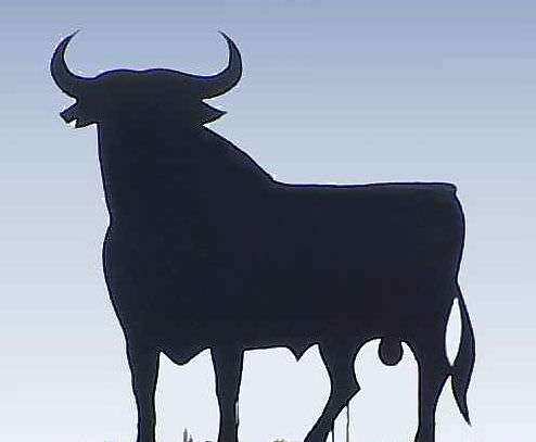 El toro, animal salvaje o de compañía?