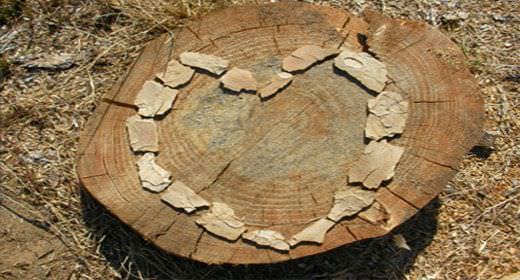 Canciones para el alma: «Entre un te quiero y un adiós»