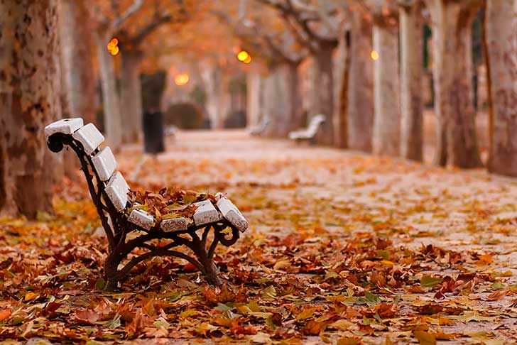 Fotografías para amar el otoño