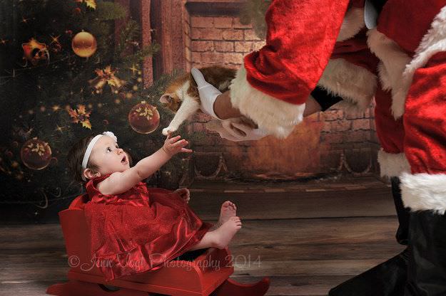 Fotografías de bebés que disfrutan a lo grande en Navidad 4