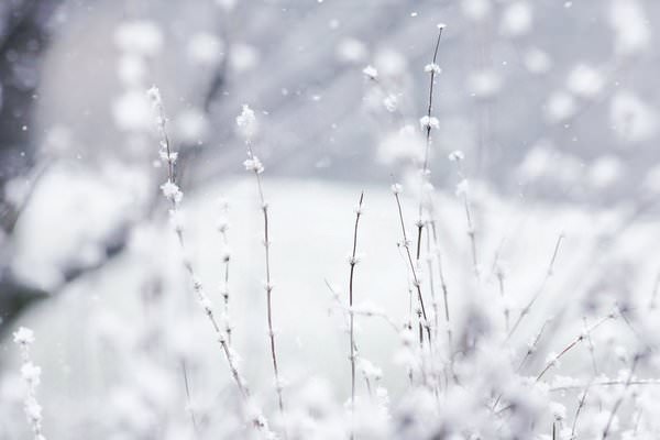 Las imágenes más bonitas de la naturaleza en invierno 6