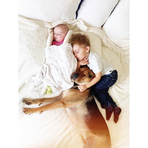 Dos hermanos y su perro compañeros inseparables 4
