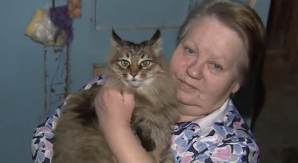 Este gato callejero salvó la vida de un bebé abandonado 1