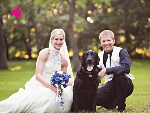 Mascotas fotografías de bodas con los novios y sus mascotas 6