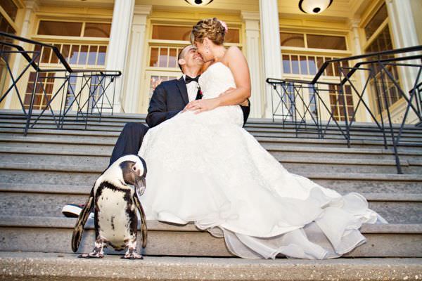 ¿Te imaginas celebrar tu boda en el zoo 4