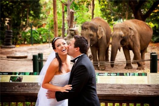 ¿Te imaginas celebrar tu boda en el zoo 6